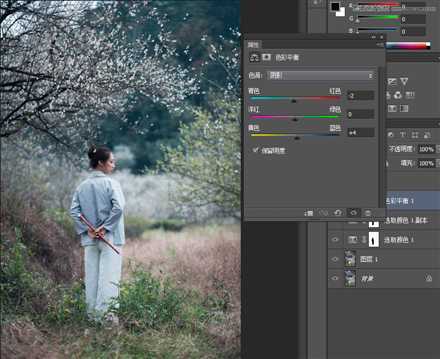 ‘Photoshop调出外景梅花人像中国风冷色效果‘
