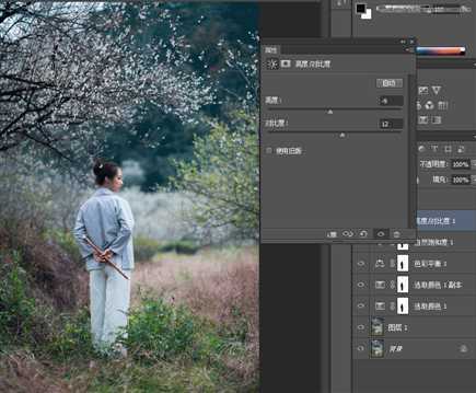 ‘Photoshop调出外景梅花人像中国风冷色效果‘