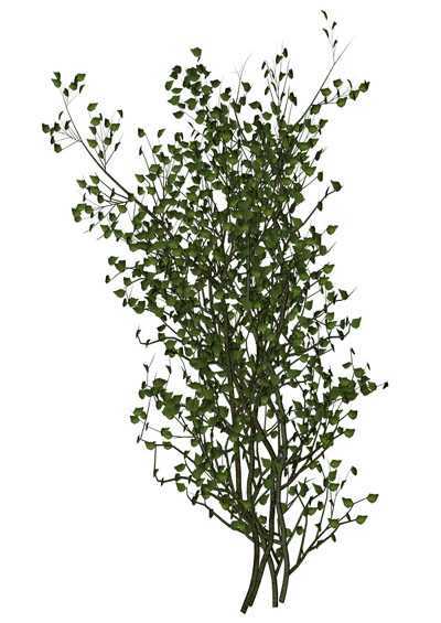 ‘photoshop合成秋色中的惬意女孩‘