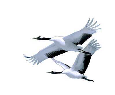 ‘photoshop合成秋色中的惬意女孩‘