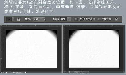 ‘photoshop鼠绘神态憨厚的小白猫头像效果‘