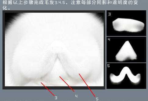 ‘photoshop鼠绘神态憨厚的小白猫头像效果‘