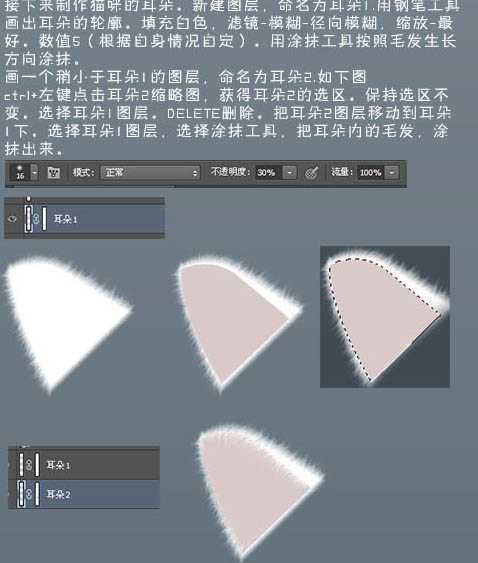 ‘photoshop鼠绘神态憨厚的小白猫头像效果‘