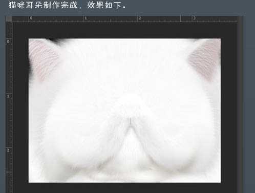 ‘photoshop鼠绘神态憨厚的小白猫头像效果‘