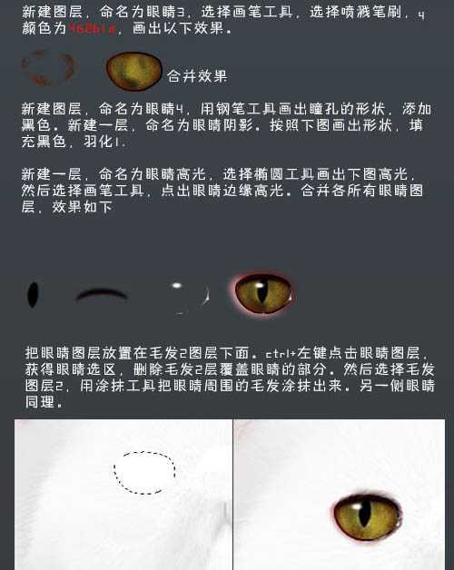 ‘photoshop鼠绘神态憨厚的小白猫头像效果‘