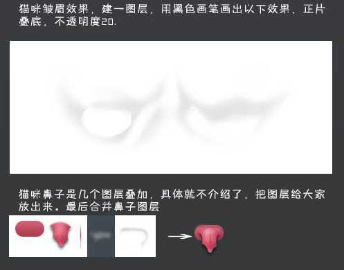 ‘photoshop鼠绘神态憨厚的小白猫头像效果‘