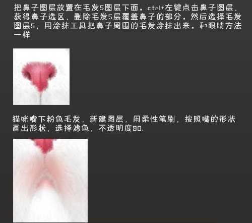 ‘photoshop鼠绘神态憨厚的小白猫头像效果‘