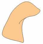 CorelDRAW绘制简笔卡通动物造型_脚本之家jb51.net网络转载