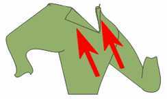 CorelDRAW绘制简笔卡通动物造型_脚本之家jb51.net网络转载