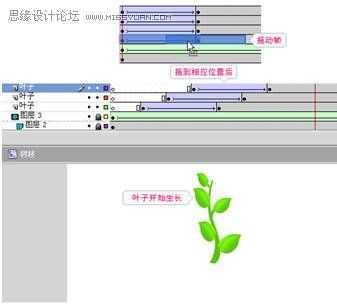 Flash CS4制作伸展的树枝教程,PS教程,思缘教程网