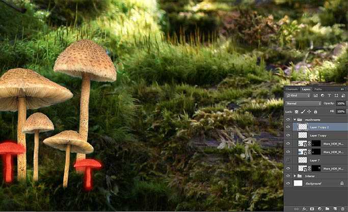 ‘PS合成经典梦幻森林中的魔法小公主‘