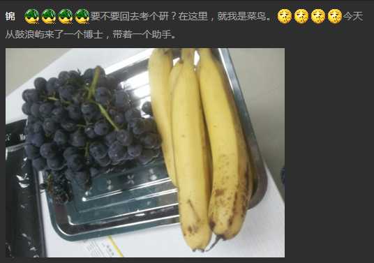 技术分享