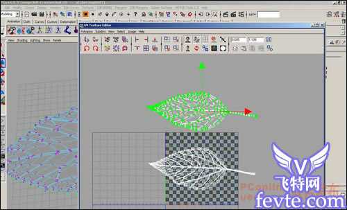 用maya制作逼真的树叶 脚本之家 MAYA建模教程