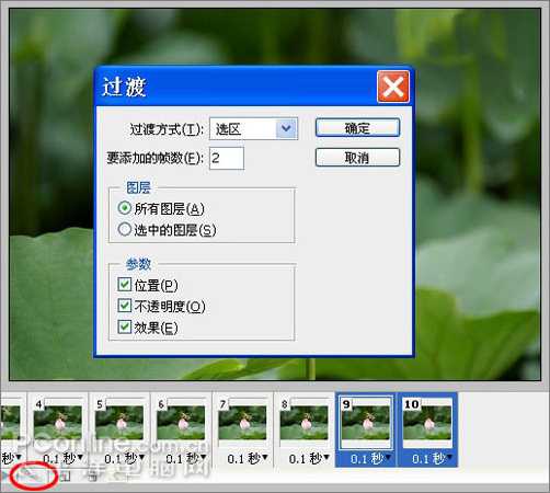 Photoshop CS3教程：蜻蜓落荷花动画