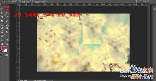 ‘入门:PS选框工具的操作技巧介绍‘