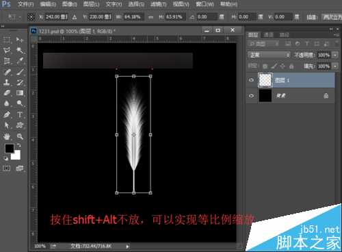‘PS利用渐变颜色的羽毛来制作扇子打开的gif动画效果‘