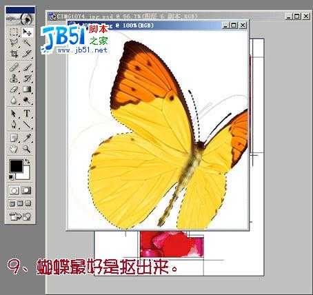 Photoshop照片合成_玫瑰花瓣围绕的女孩