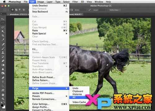 ‘10个小技巧解决运行PS卡死了的问题‘
