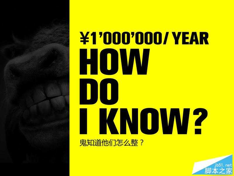 不同阶段设计师的想法与做法 脚本之家 设计理论 技术分享