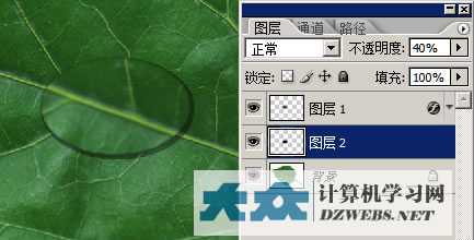‘PS制作逼真的叶片上水滴水珠效果‘