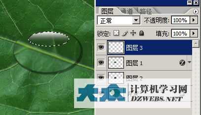 ‘PS制作逼真的叶片上水滴水珠效果‘