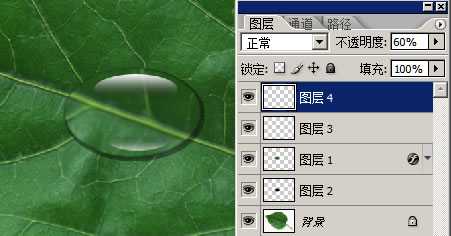 ‘PS制作逼真的叶片上水滴水珠效果‘