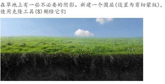 ‘PS合成制作鸟巢坐落在古怪的骷髅树上‘