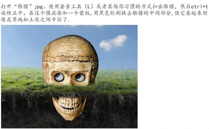‘PS合成制作鸟巢坐落在古怪的骷髅树上‘