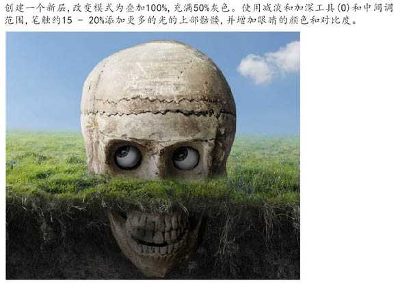 ‘PS合成制作鸟巢坐落在古怪的骷髅树上‘