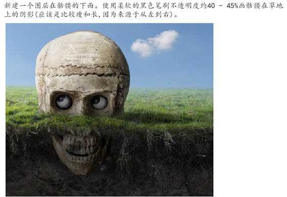 ‘PS合成制作鸟巢坐落在古怪的骷髅树上‘