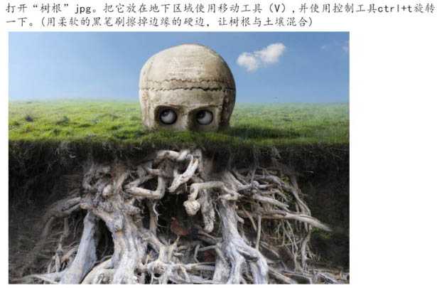 ‘PS合成制作鸟巢坐落在古怪的骷髅树上‘