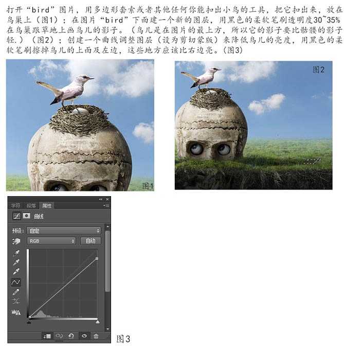 ‘PS合成制作鸟巢坐落在古怪的骷髅树上‘