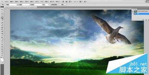 PHOTOSHOP CS5中用钢笔抠图