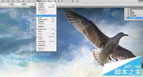 PHOTOSHOP CS5中用钢笔抠图