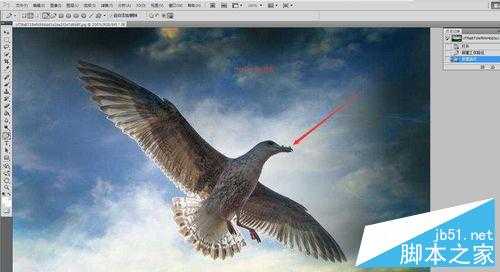 PHOTOSHOP CS5中用钢笔抠图