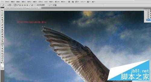 PHOTOSHOP CS5中用钢笔抠图