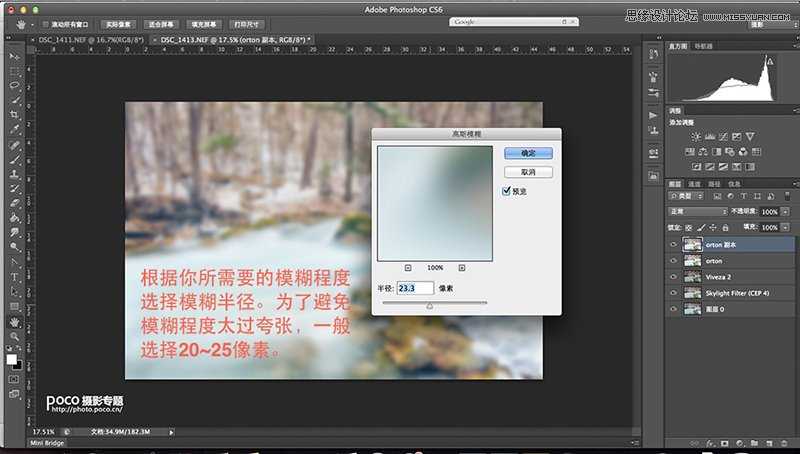‘Photoshop为数码照片调出梦幻的柔焦风格‘