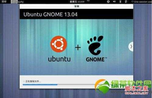 ubuntu13.04友帮拓系统图文安装教程-图13