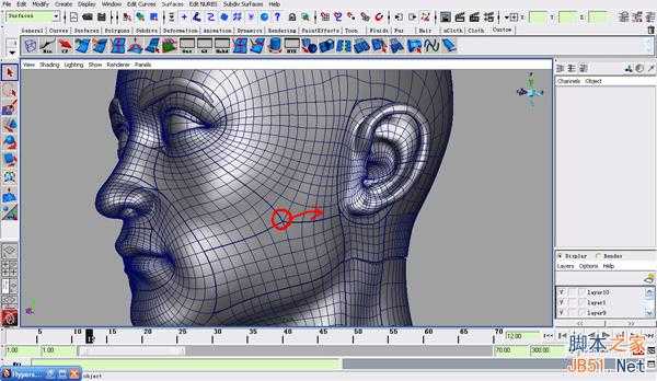 MAYA NURBS制作高精度生物模型详解 脚本之家 MAYA建模教程