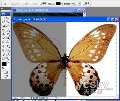 PhotoShop营造梦幻效果_神秘园中的精灵_网4页教学网jb51.net整理转载