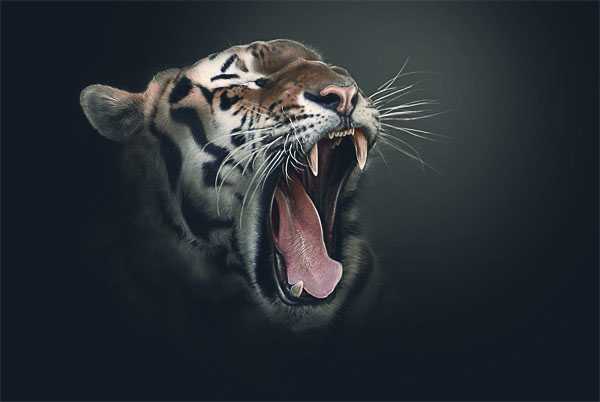 ‘Photoshop