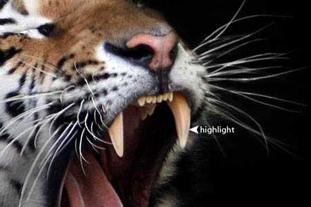 ‘Photoshop