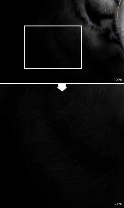 ‘Photoshop