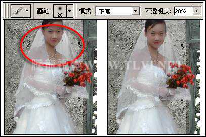 ‘photoshop下为婚纱照片增加艺术感染力教材‘