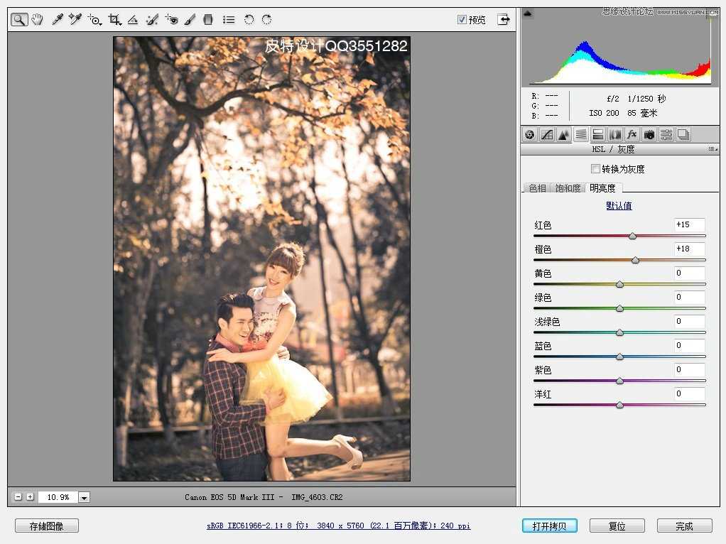 ‘Photoshop调出外景婚片秋季唯美的金黄色‘