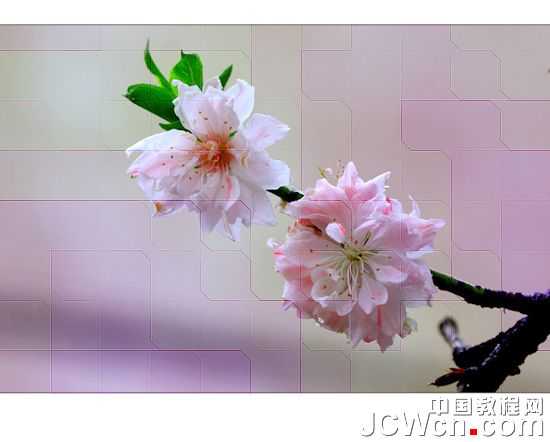 ‘Photoshop快速为照片加上不规则的小方框‘