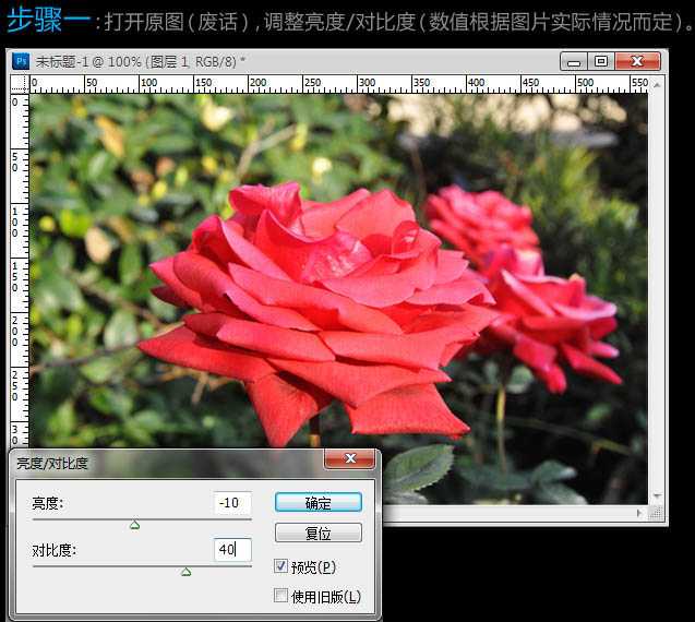 ‘Photoshop为玫瑰花图片增强饱和度‘
