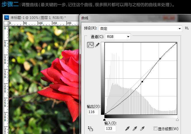 ‘Photoshop为玫瑰花图片增强饱和度‘