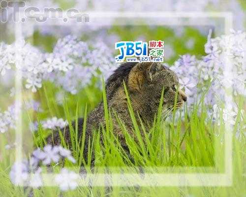 Photoshop新手教程：添加相框及签名(3)