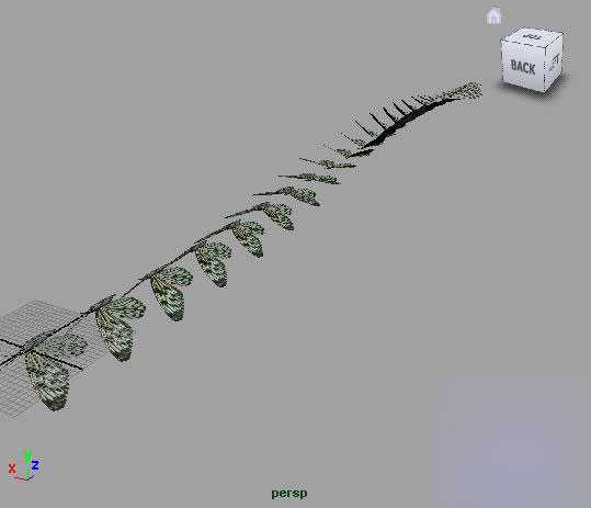 Maya2008制作一只逼真的蝴蝶 脚本之家